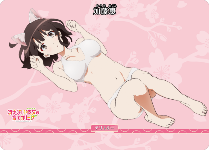 [BDB] 改变关系（Megumi）[PROMO] BB-SHS-002aVT