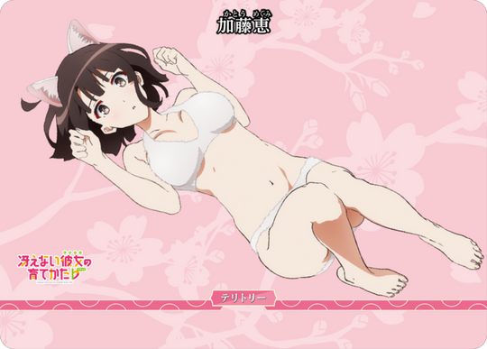 [BDB] 改变关系（Megumi）[PROMO] BB-SHS-002aVT