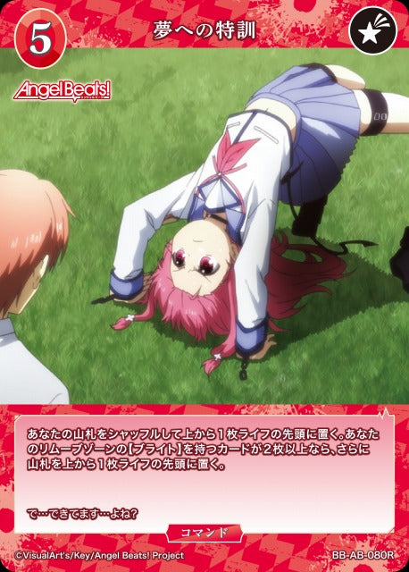 【BDB】夢への特訓【R】BB-AB-080R