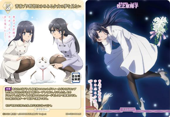 [BDB] Seishun Buta Yarou wa Yumemiru Shoujo no Yumemiru Shoujo no Yume / Shoko Makinohara [N] BB-SBS-004aN