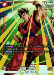 [DBFW] Son Gohan: Youth [SR★/Parallel] FS01-009