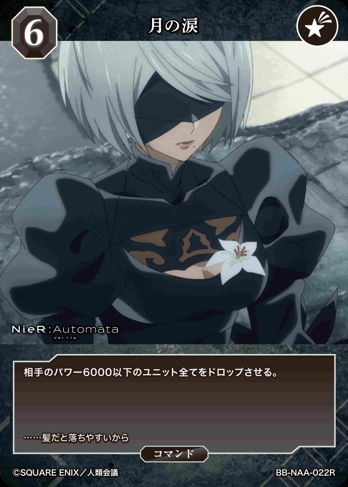 [BDB] 月之泪 [R] BB-NAA-022