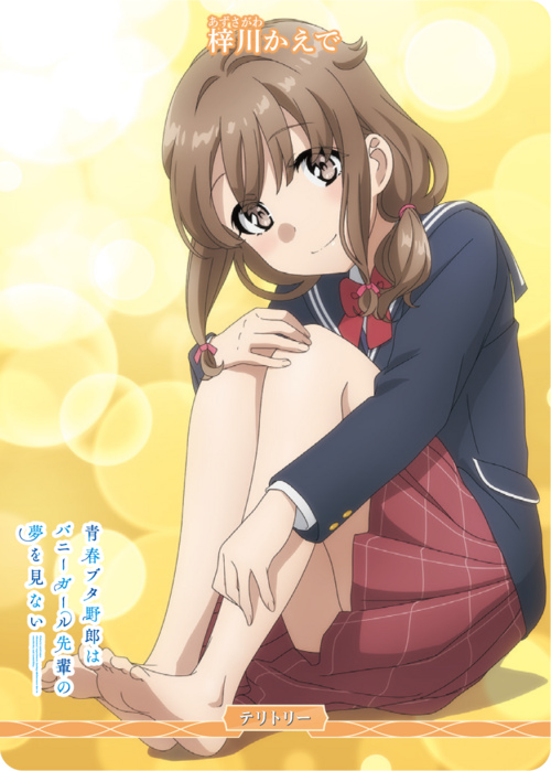 [BDB] 流氓不会梦到梦中少女 / 梓川枫 [N] BB-SBS-004cN