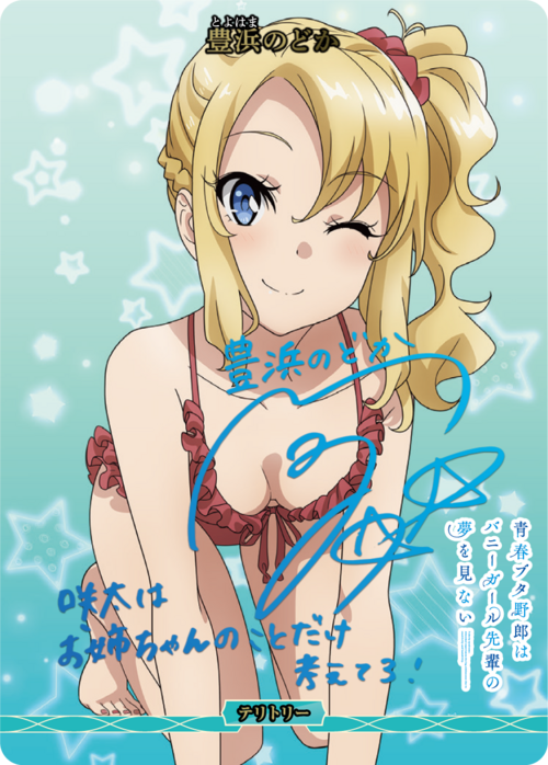 [BDB] Seishun Buta Yarou wa Yumemiru Shoujo no Yume wo Minai / Toyohama Nodoka (Signed) [BT] BB-SBS-004bBT