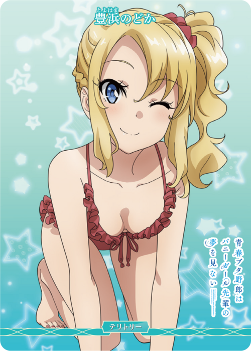 [BDB] Seishun Buta Yarou wa Yumemiru Shoujo no Yumemiru Shoujo no Yume / Toyohama Nodoka [N] BB-SBS-004bN