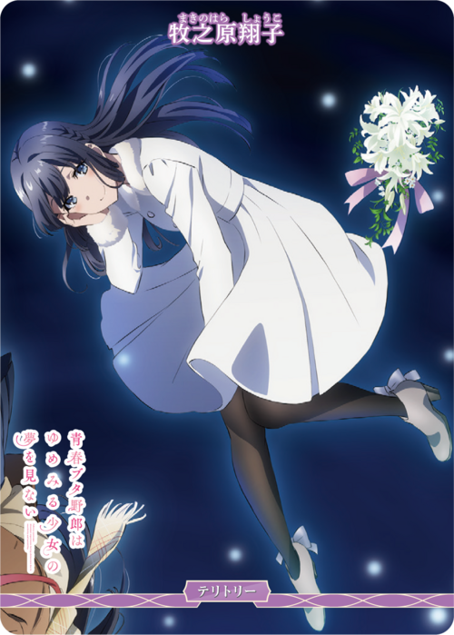 [BDB] Seishun Buta Yarou wa Yumemiru Shoujo no Yumemiru Shoujo no Yume / Shoko Makinohara [N] BB-SBS-004aN